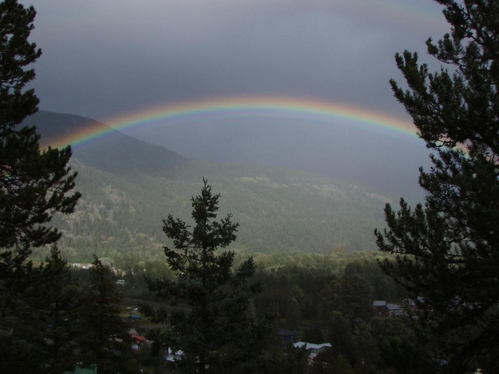 Greenwood Country Inn Pemberton Quarto foto